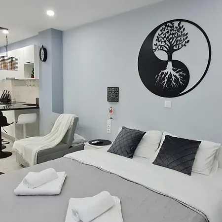 Appartement Cozy With Garden Near Town Center, Fully Renovated. Athene